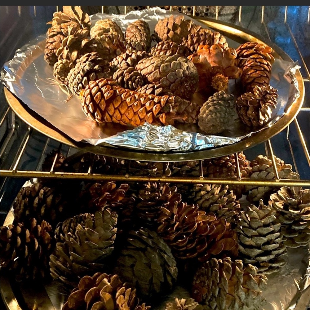 Harvest Apple Scented Pinecones From My Farm Organic Hand Crafted new. - Picture 8 of 13
